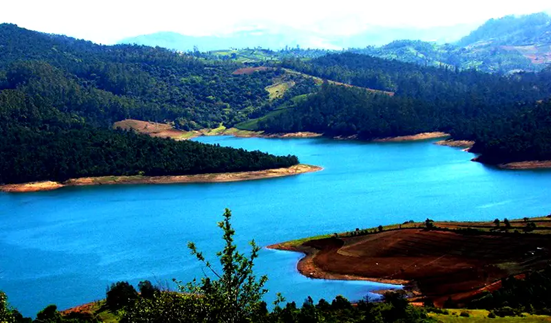 How to travel within Ooty
