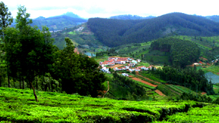 How-to-travel-within-Ooty