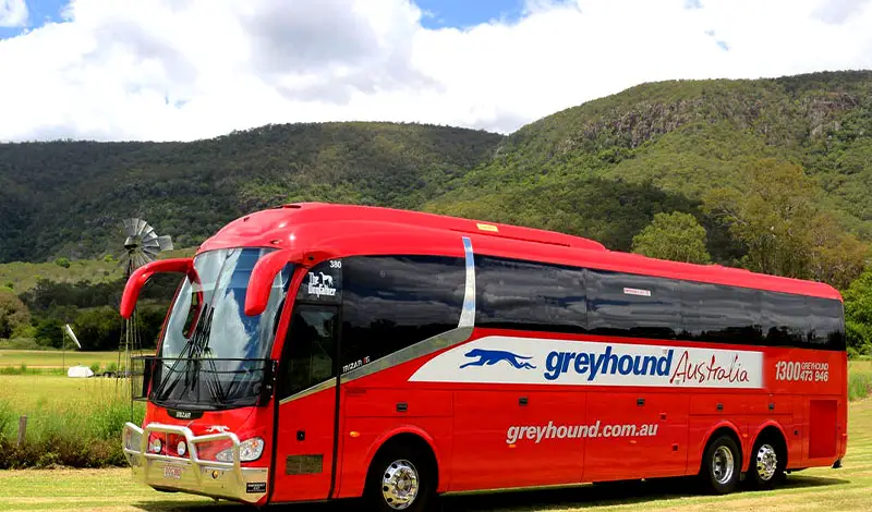 How to travel without id greyhound