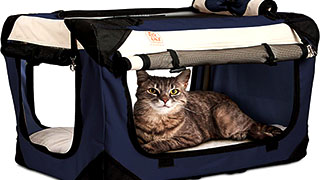 Best Cat Carrier For Long Distance Car Travel